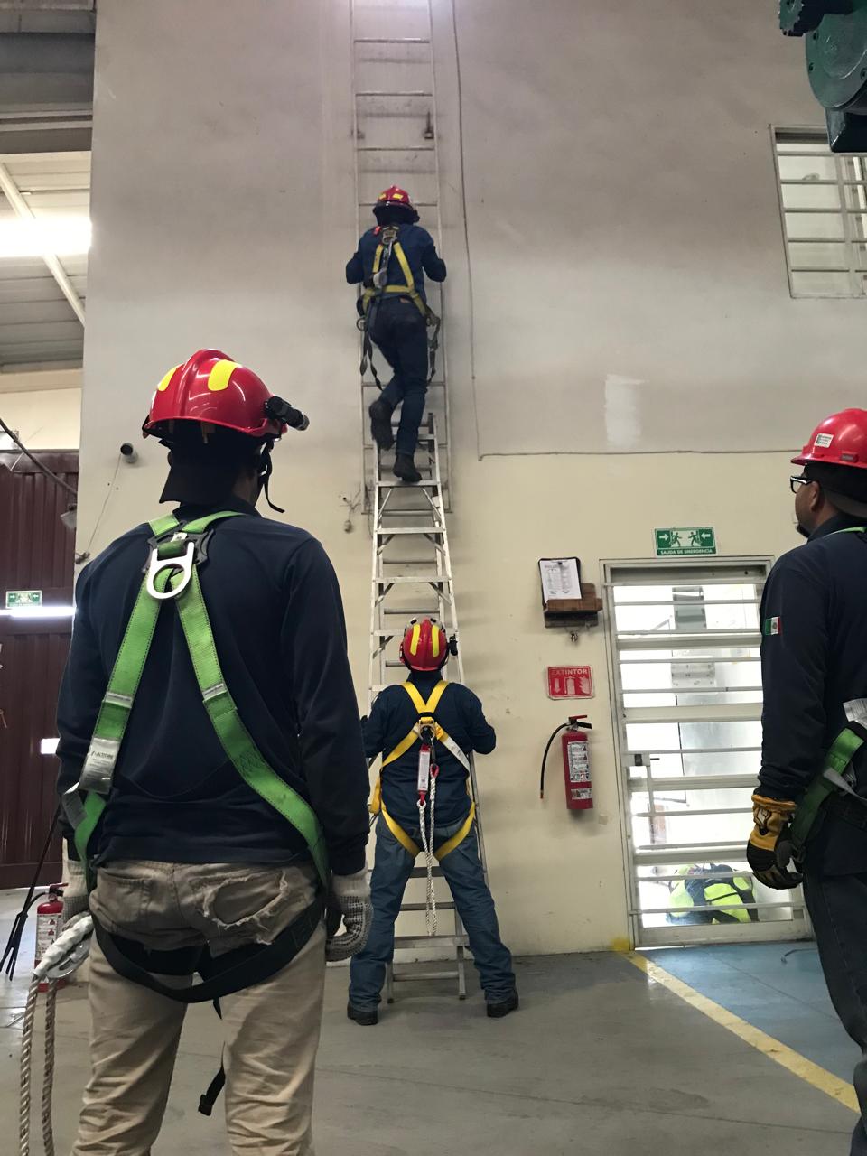 WhatsApp Image 2024-06-20 at 11.11.47 AM